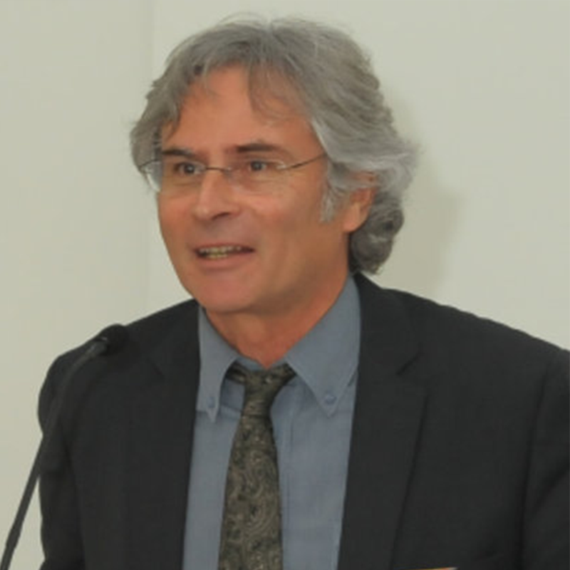 Christophe Gourdon Scientific Committee