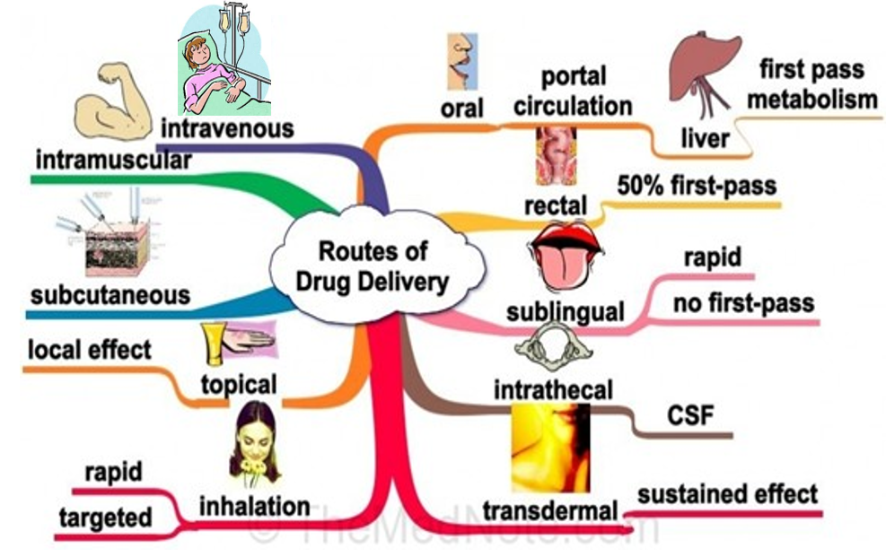 Polymers in drug delivery & medical device - Seqens