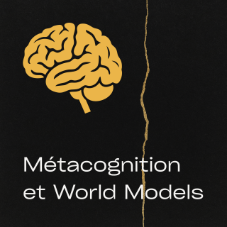 Métacognition et World Models : ce qui reste quand les réponses sont gratuites