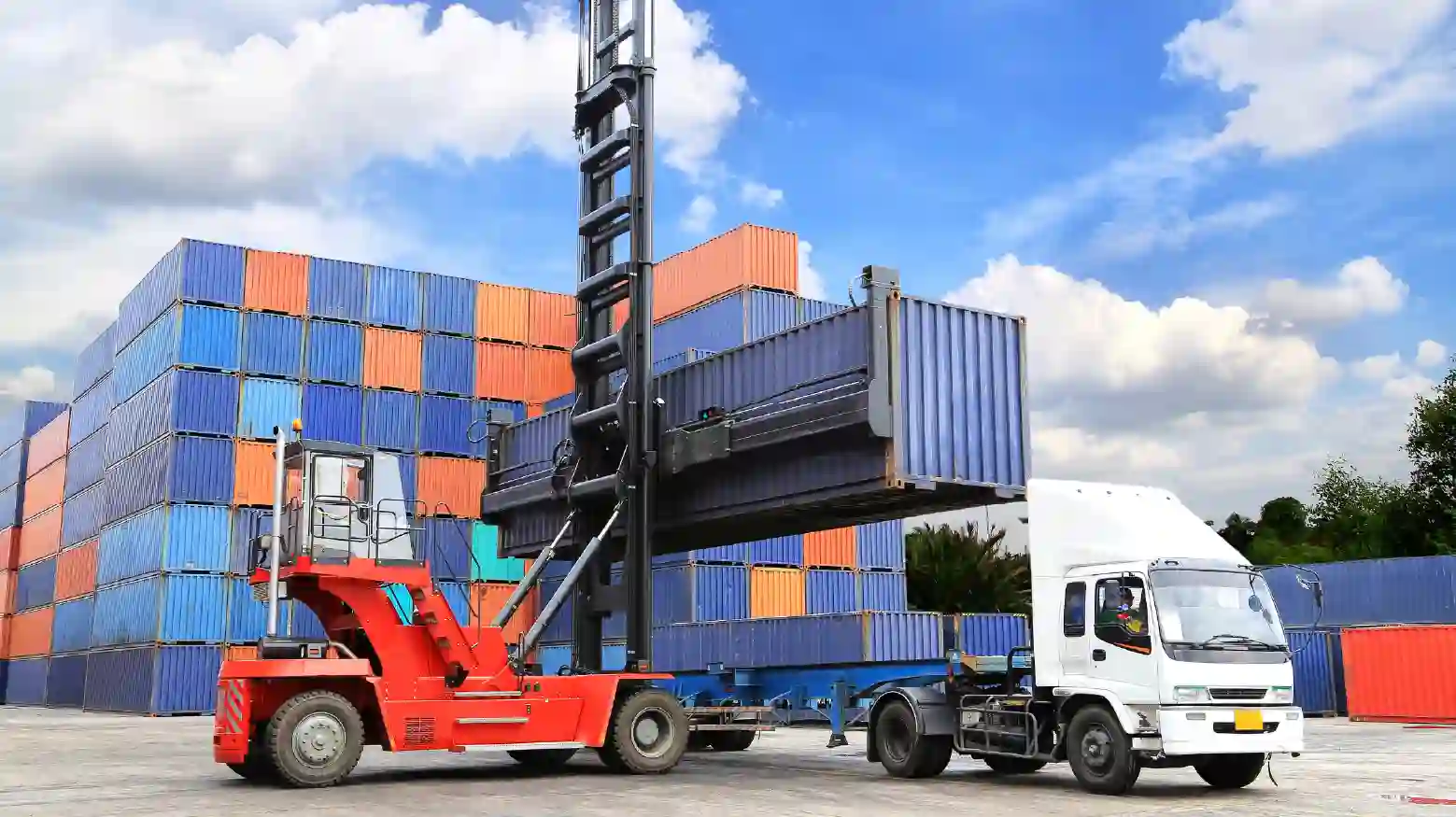 container distribution plant