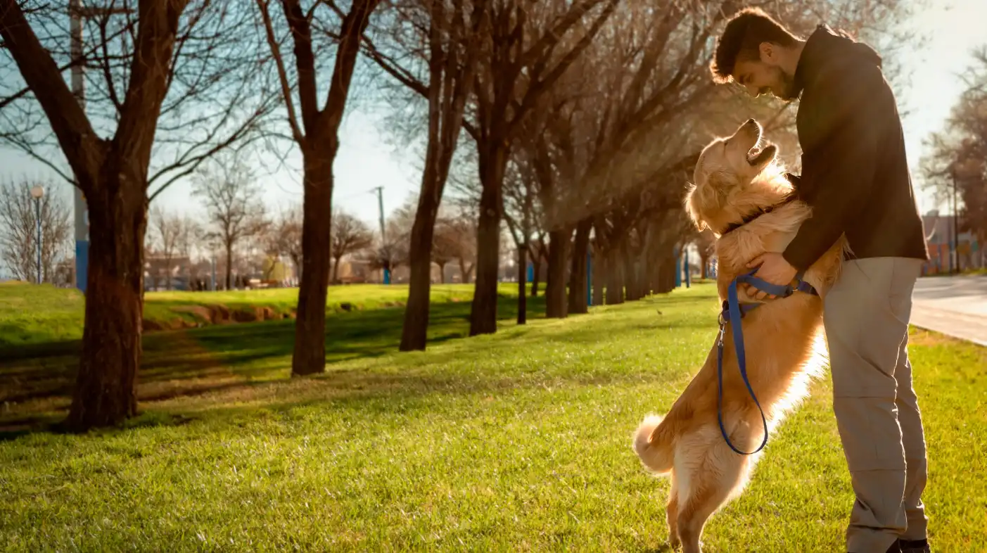 Un homme joue avec son chien dans un parc