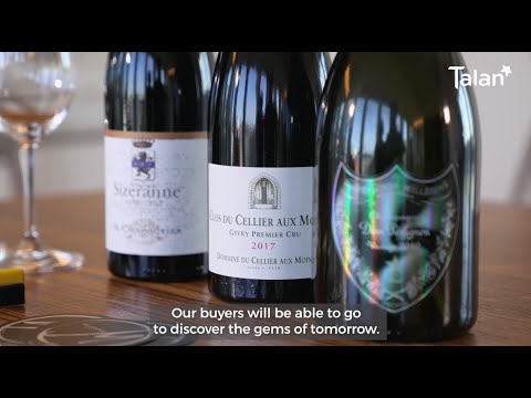 Talan x Millesima : Quand l'IA rencontre le monde du vin (english subtitles)