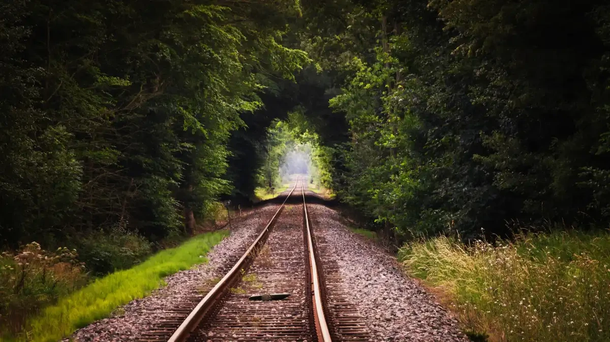 A train track showing a dark path with heavy forests and a light at the end of the path 