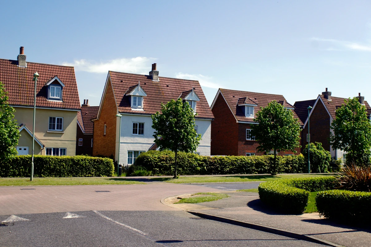A residential street with a row of detached houses surrounded by greenery.