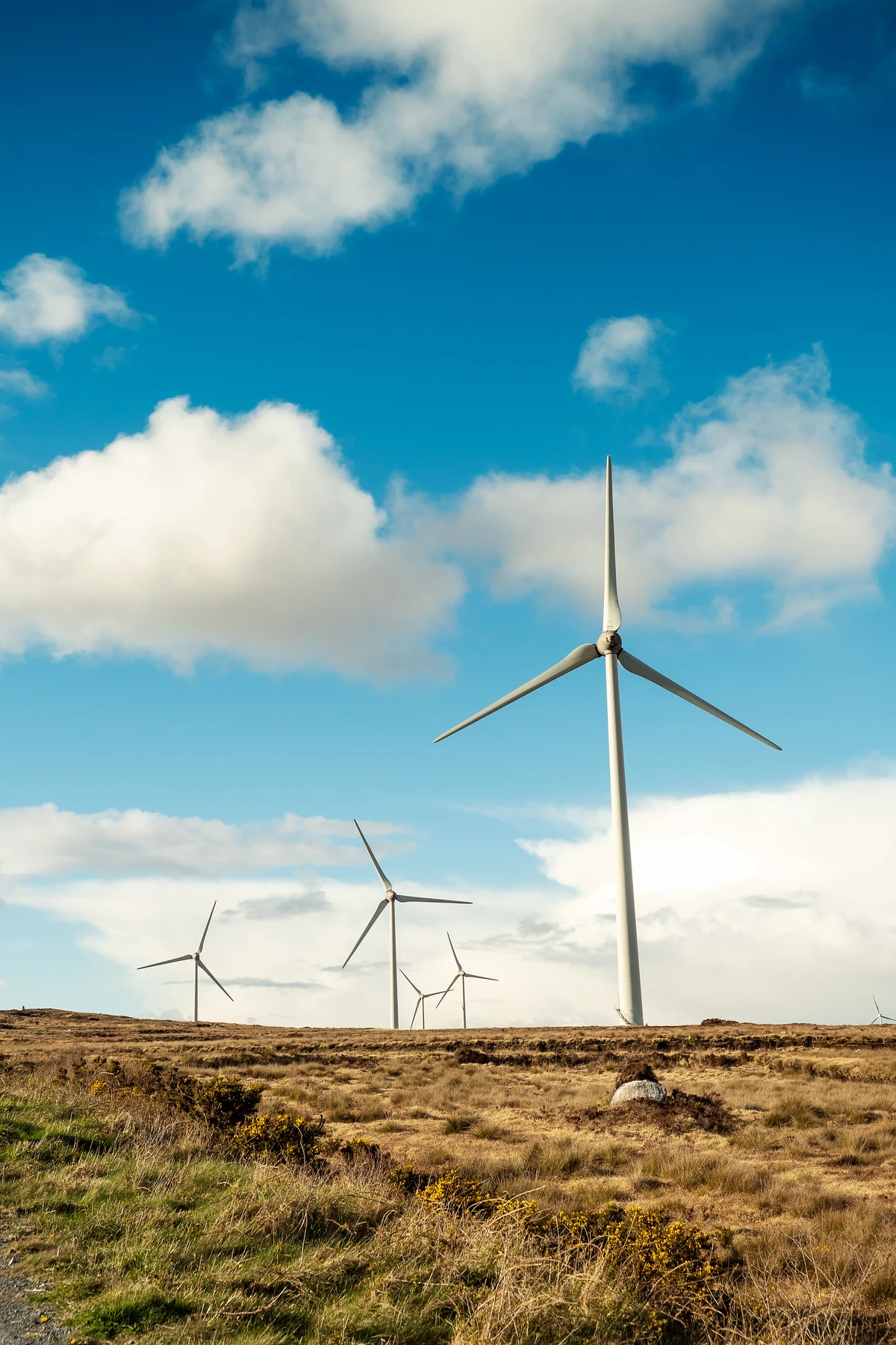 A field containing a wind farm set against a blue, cloudy sky.