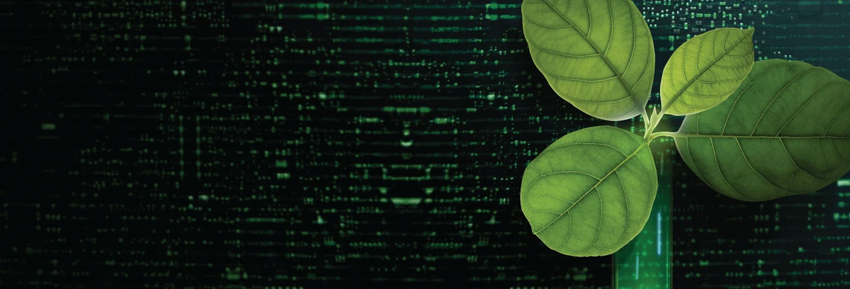 A green sprout on a green digital background.
