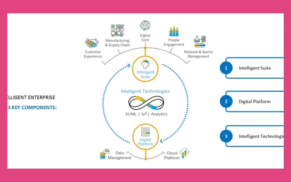 SAP S4HANA Cloud_Digital Core-Diagram-Talan