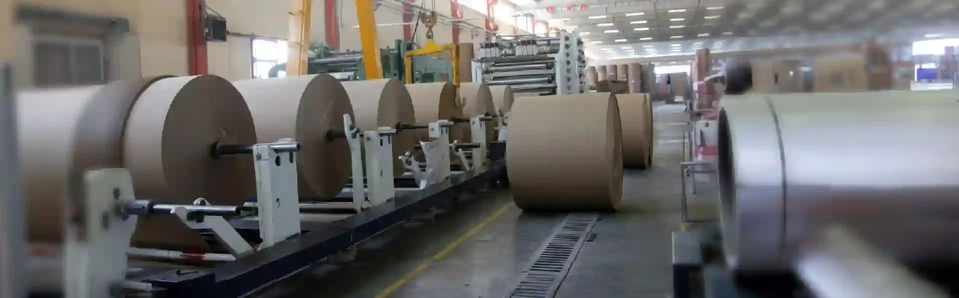 Mills manufacturing plant transitioning to SAP S/4HANA Cloud 