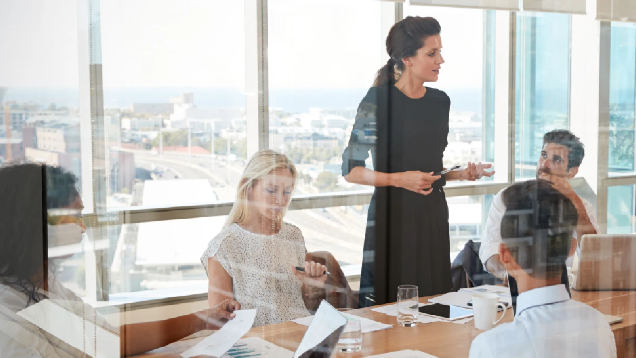 Businesswoman giving a presentation in a meeting.