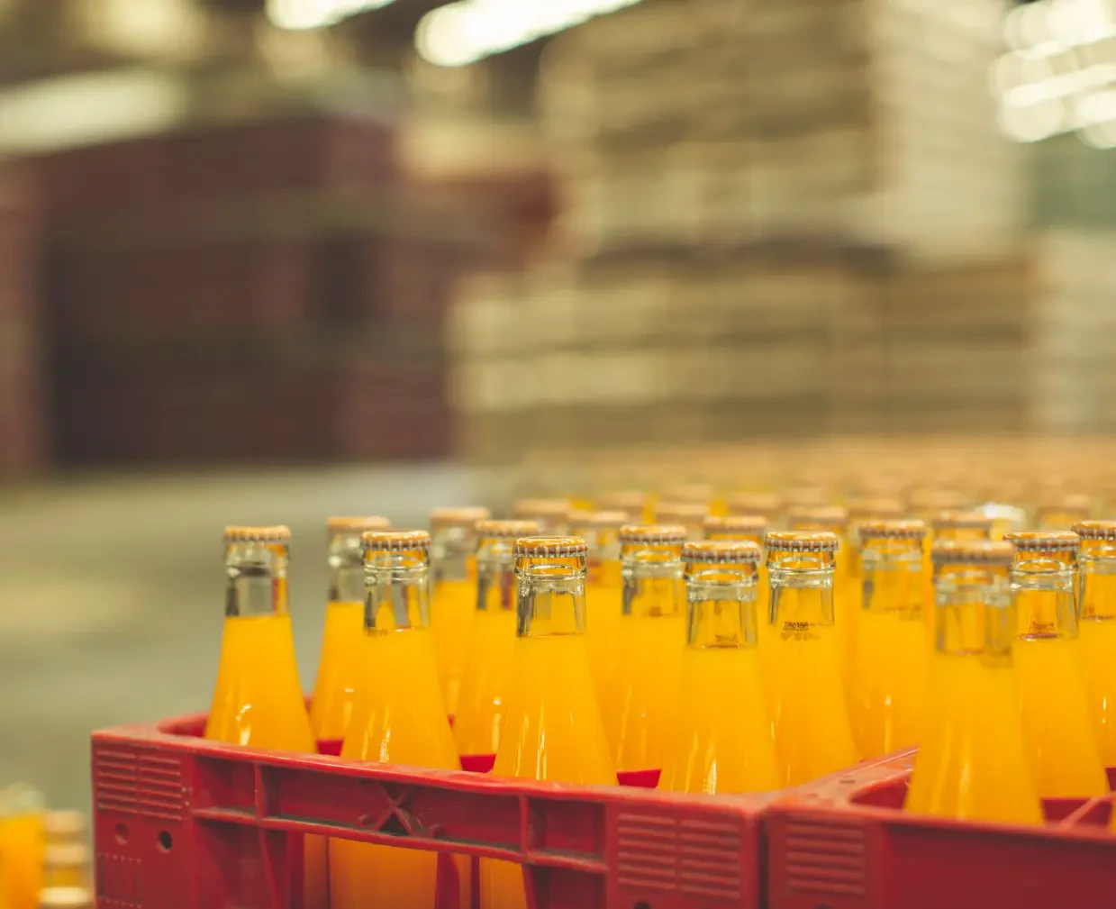 Une ligne d’emballage montrant des caisses de boissons emballées et préparées pour la distribution