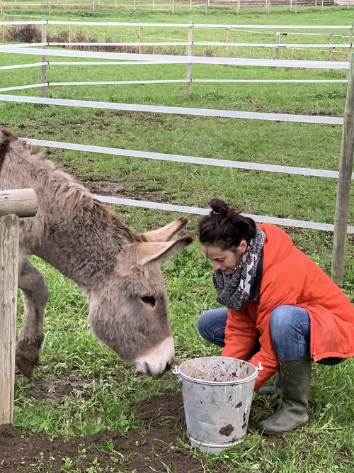 Chantier Biodiversité Ferme Charpin © Terre de Liens Rhône-Alpes