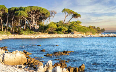 Image du projet Les CM de Pont Dulys aux îles de Lérins !