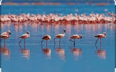 Image du projet Cap sur Palavas!