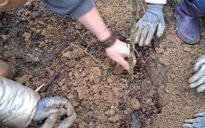 Image du projet Poursuite de projets sur l'aire éducative des explorateurs du vivant de La Vallée au Blé