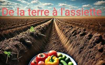 Image du projet De la terre à l'assiette 