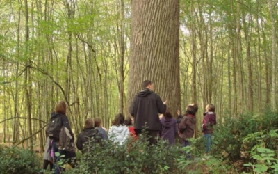 Image du projet Classe de découverte en forêt de Tronçais des maternelles de l'école du Parc d'Archignat