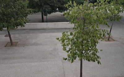 Image du projet aire éducative école Pagnol CM1  La Seyne sur mer