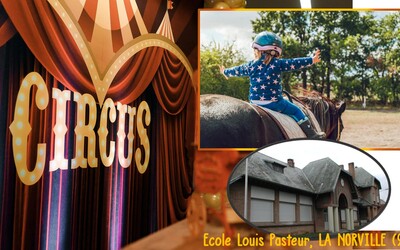 Image du projet Classe de découvertes "Cirque et Poney"