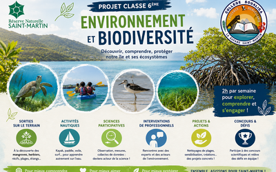 Image du projet Classe Environnement & Biodiversité : les éco-citoyens de demain à Saint-Martin