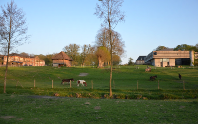 Image du projet "Aventures fermières" pour les grandes sections de SARCELLES