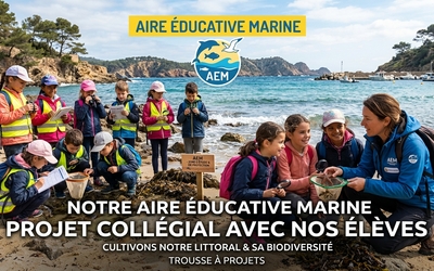 Image du projet AIRE MARINE EDUCATIVE DE CARNON 