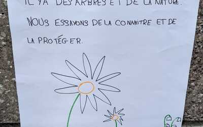 Image du projet L'AIRE TERRESTRE EDUCATIVE des CE1 CE2 de l'école ALEXANDRE BERNARD