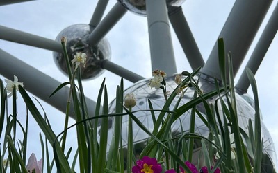 Image du projet La seconde Emeraude : Engagée pour la planète. 