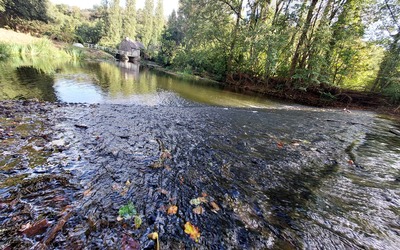 Image du projet AFE de l'OUST - Josselin