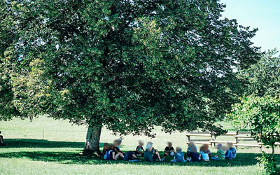 Image du projet « Paysages sensibles » : entre nature, sons et images