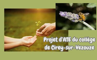 Image du projet ATE du collège de Cirey : de la préservation de la biodiversité d'un ENS à celle d'un ATE 