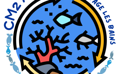 Image du projet Plongez au coeur de l'AME des CM2A de l'Ermitage
