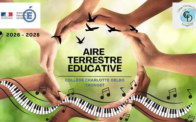 Image du projet ATE Tronget : Passons des Sciences aux Arts
