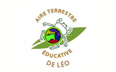 Image du projet ATE de Léo