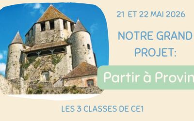 Image du projet Grandir ensemble au Moyen Âge : un séjour pédagogique inclusif à Provins