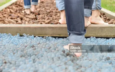 Image du projet Création d'un jardin sensoriel accessible et inclusif