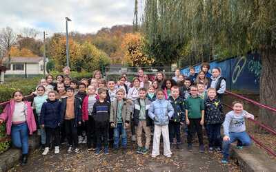 Image du projet Marbache en classe de découverte entre étang et forêt 