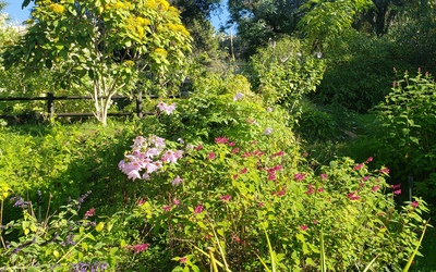 Image du projet Projet "Au jardin avec Camille" chez les MS-GS