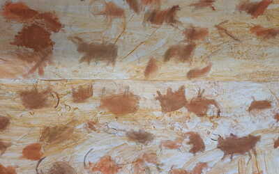 Image du projet Les CE2 de la Seudre en Dordogne