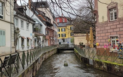 Image du projet Séjour culturel à Fribourg en Brisgau en Allemagne