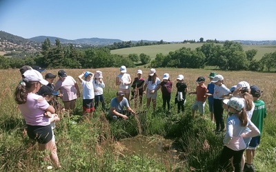 Image du projet Renouvellement ATE Roiffieux 