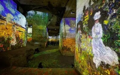 Image du projet Projet culturel pour les CM2 de Montferrier sur Lez: "Art en immersion" 