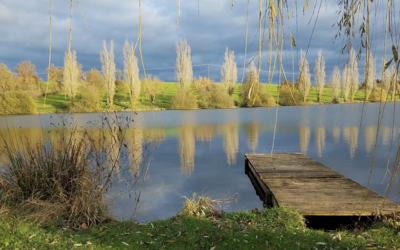 Image du projet Notre territoire, notre espace