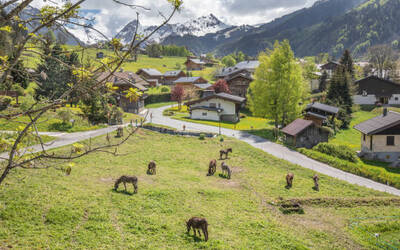 Image du projet Les CM2 aux Contamines Montjoie!!