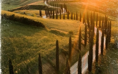 Image du projet Pour les élèves de Reynier, le Printemps commence en Toscane.