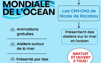 Image du projet AME Rocabey