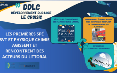 Image du projet AME Développement Durable Le Croisic