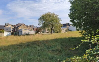 Image du projet ATE Les Eco-explorateurs de Haybes