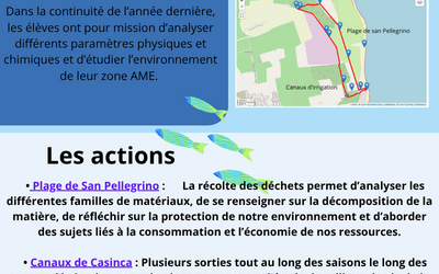 Image du projet Aire Marine Educative - Les mains dans le sable et les pieds dans l'eau