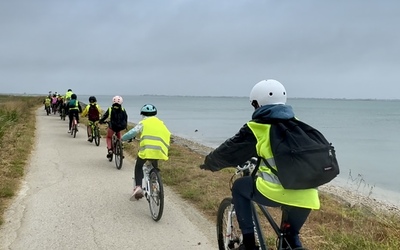 Image du projet L'ile de Ré à vélo 2026