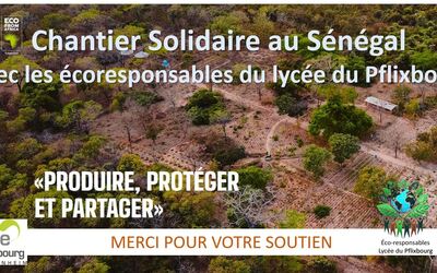 Image du projet CHANTIER SOLIDAIRE AU SENEGAL